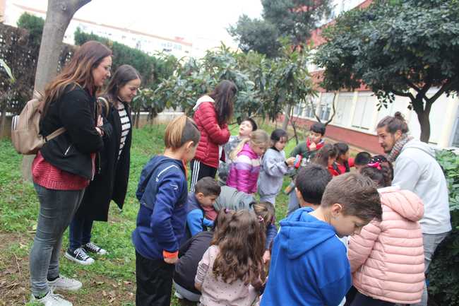 Dénia celebra el Día del Árbol en la Comunidad Valenciana con plantaciones en los colegios y...