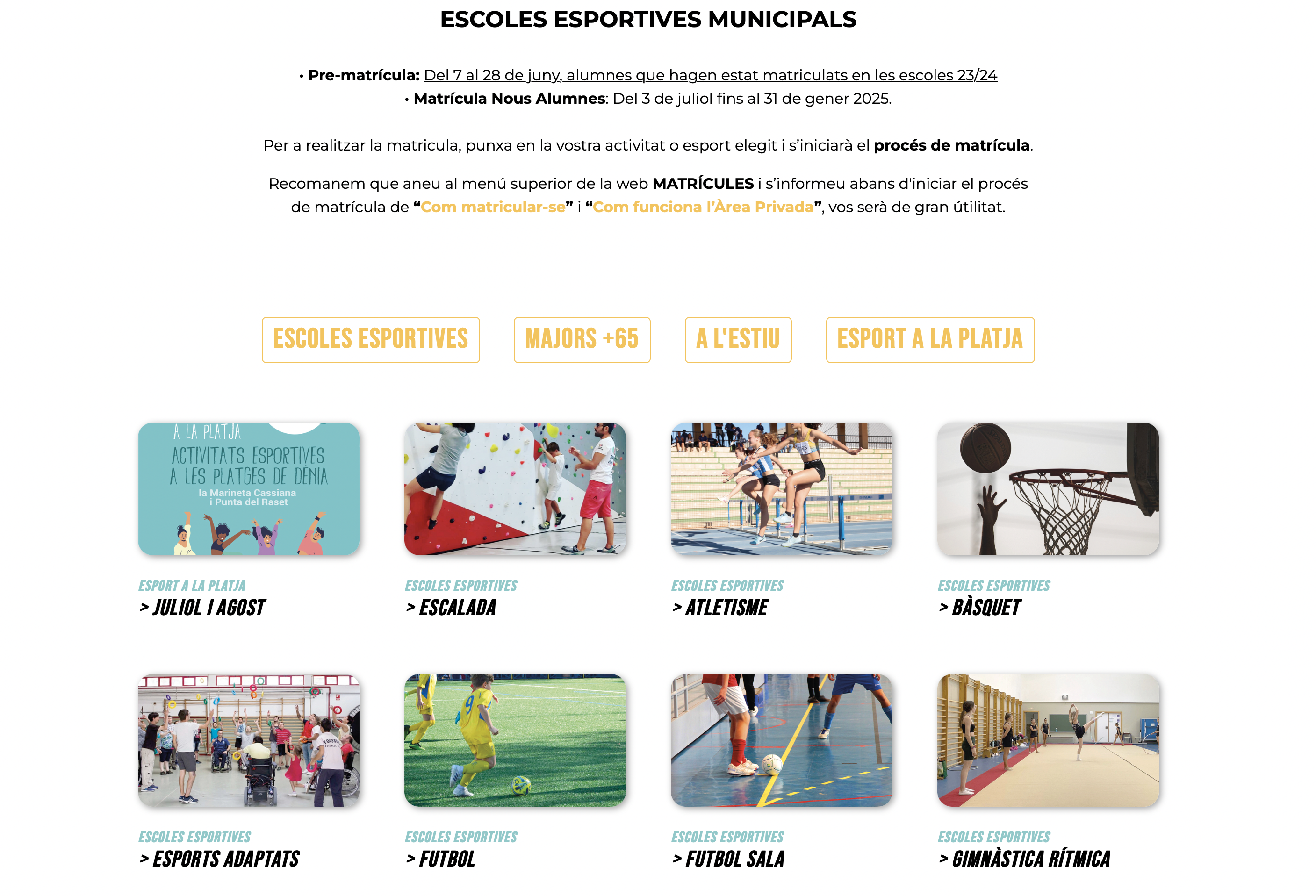 La nueva web de la Concejalía de Deportes facilita los trámites de matriculación en las escu...