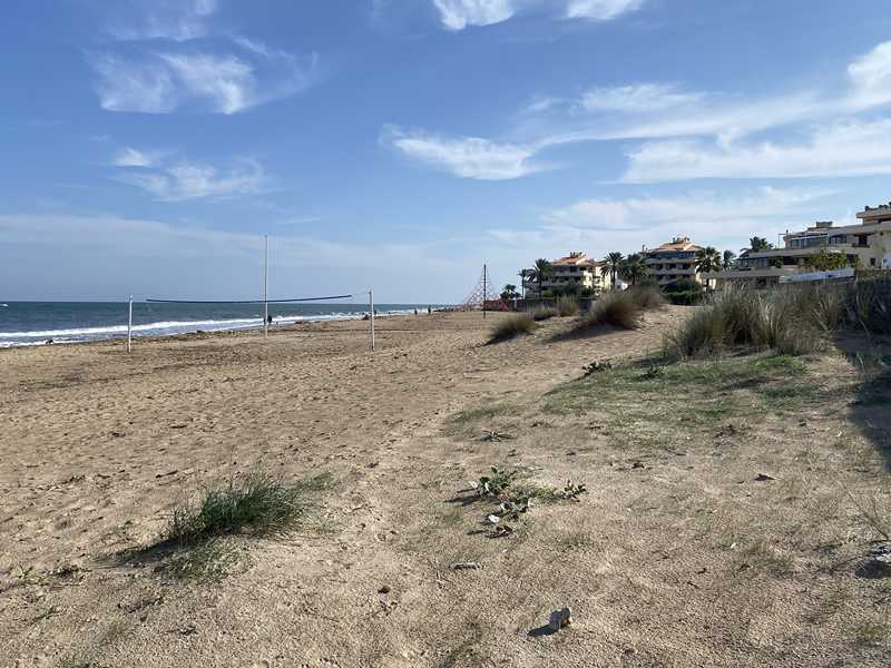  El Ajuntament de Dénia aprueba un nuevo informe sobre el deslinde entre Deveses y el Palmar considerando la rebaja de la zona de servidumbre a 20 metros 