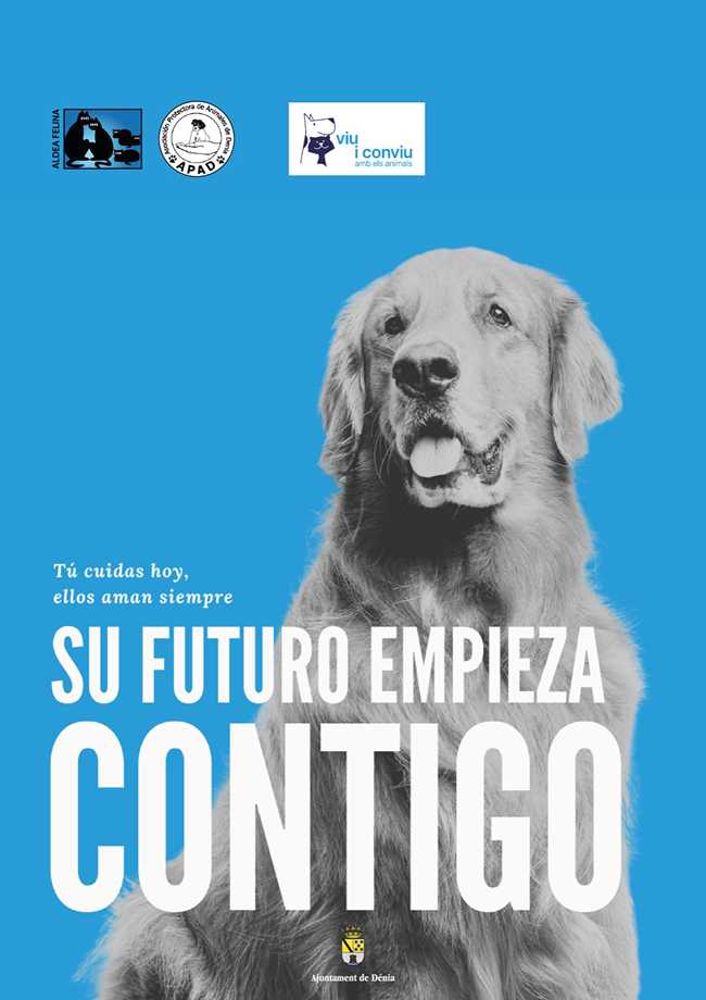  El Ajuntament de Dénia lanza una nueva campaña de concienciación en colaboración con las protectoras de animales 