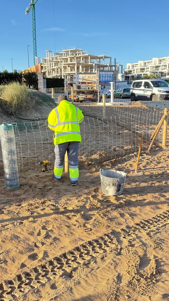 Foto Dénia inicia la temporada de protección especial de la nidificación del chorlitejo con más d...